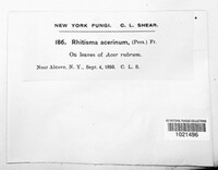 Image Associated With the Occurence